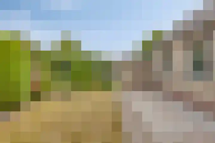 Fresiastraat 62 Made thumbnail 32
