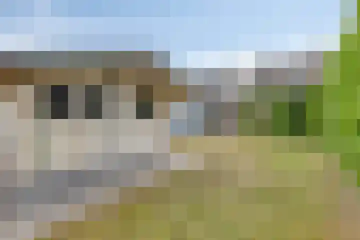 Fresiastraat 62 Made thumbnail 35