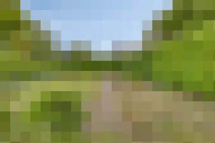 Fresiastraat 62 Made thumbnail 36