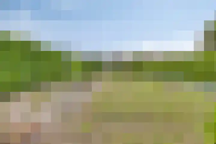 Fresiastraat 62 Made thumbnail 37