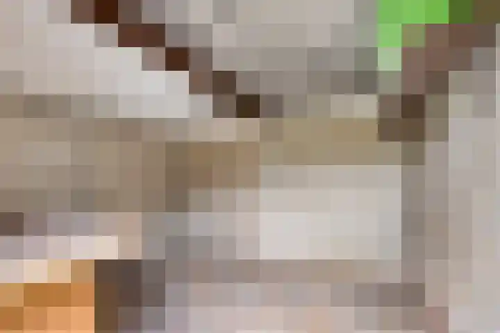 Fresiastraat 62 Made thumbnail 40