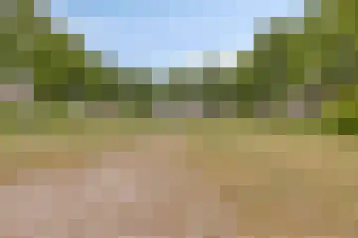 Fresiastraat 62 Made thumbnail 43