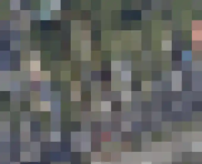 Fresiastraat 62 Made thumbnail 46