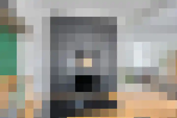 Fresiastraat 8 Lisse thumbnail 13