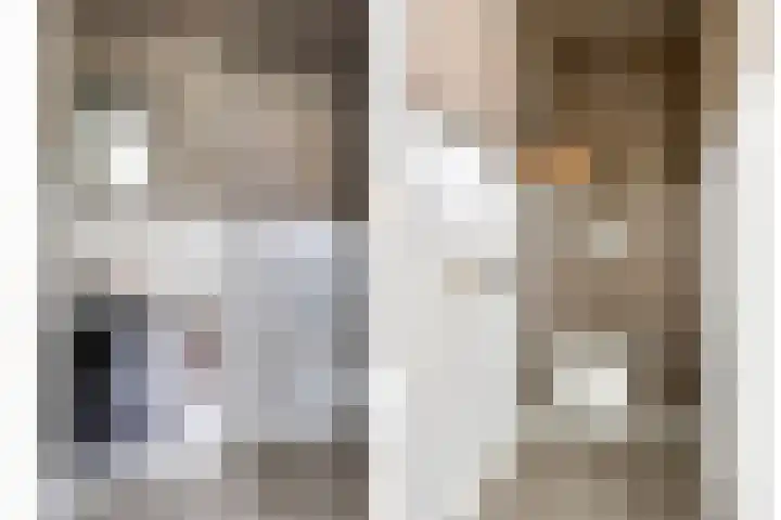 Fresiastraat 8 Lisse thumbnail 14