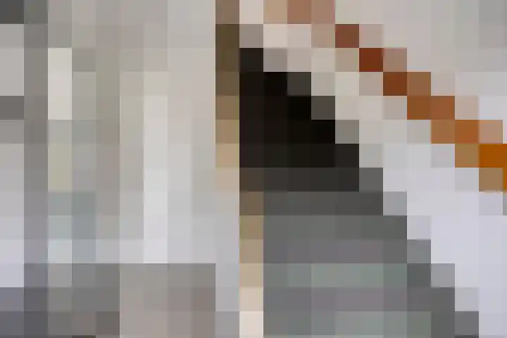 Fresiastraat 8 Lisse thumbnail 16