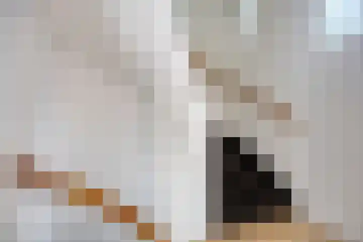Fresiastraat 8 Lisse thumbnail 18