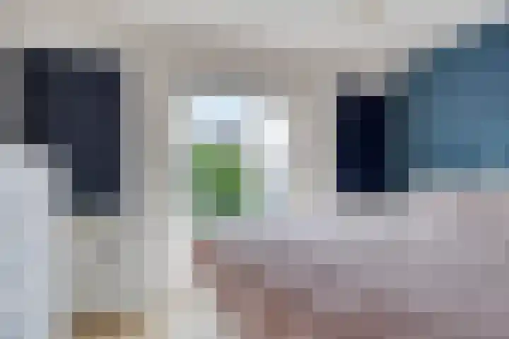 Fresiastraat 8 Lisse thumbnail 19