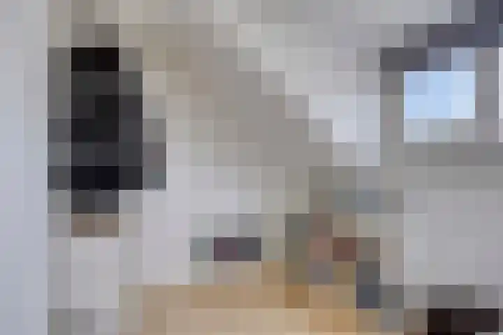Fresiastraat 8 Lisse thumbnail 25