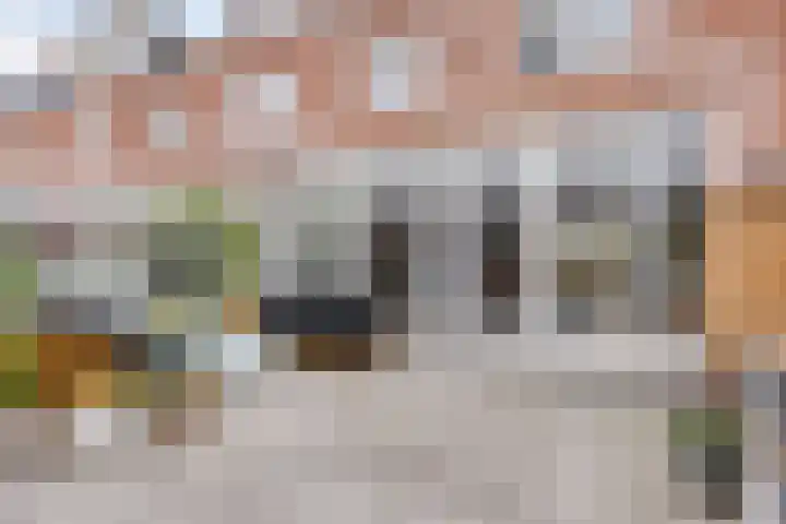 Fresiastraat 8 Lisse thumbnail 32