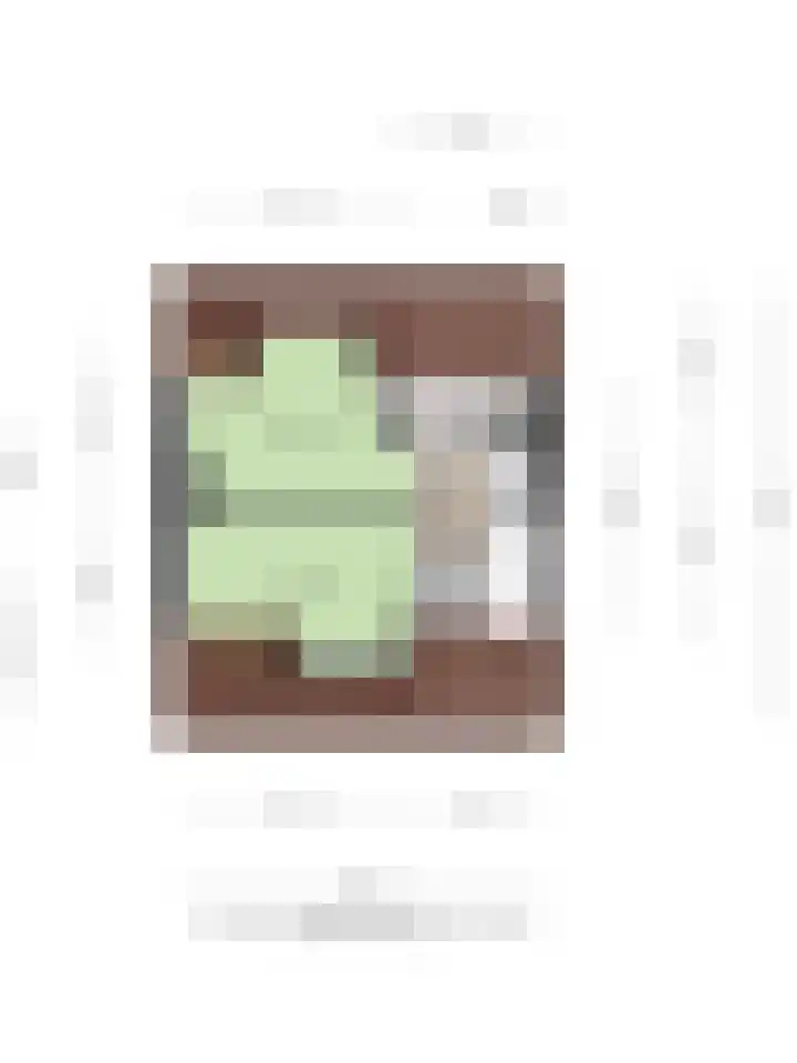 Fresiastraat 8 Lisse thumbnail 41