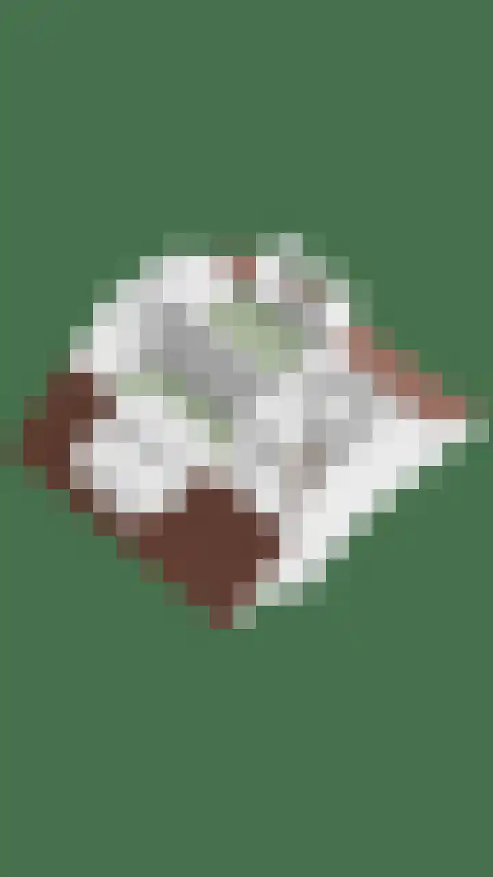 Fresiastraat 8 Lisse thumbnail 45