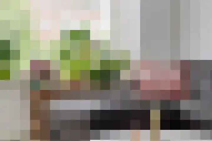 Fresiastraat 8 Lisse thumbnail 5