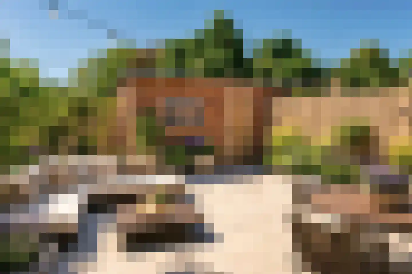 Fresiastraat 8 Naaldwijk thumbnail 10