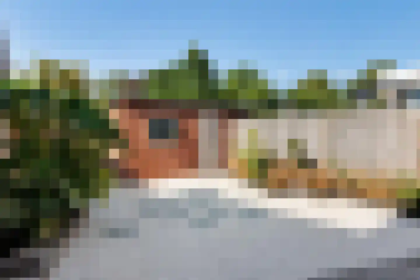 Fresiastraat 8 Naaldwijk thumbnail 13