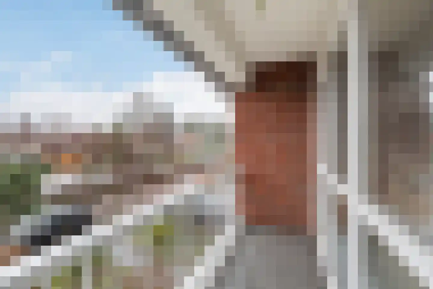 Fresiastraat 8 Naaldwijk thumbnail 26