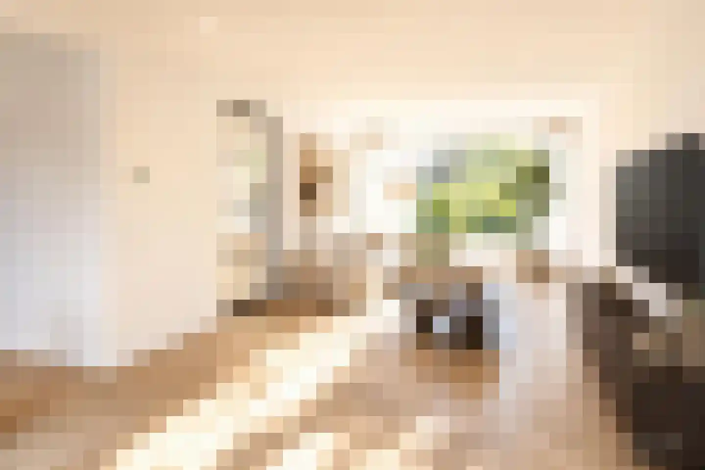 Fresiastraat 8 Naaldwijk foto 3