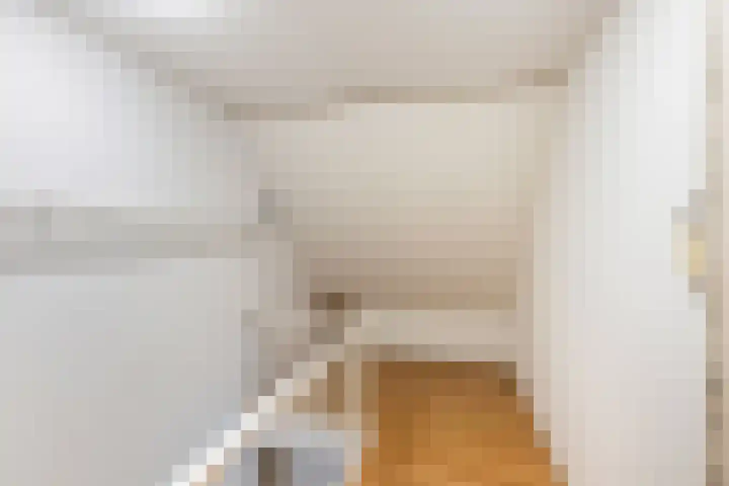 Fresiastraat 8 Naaldwijk thumbnail 38