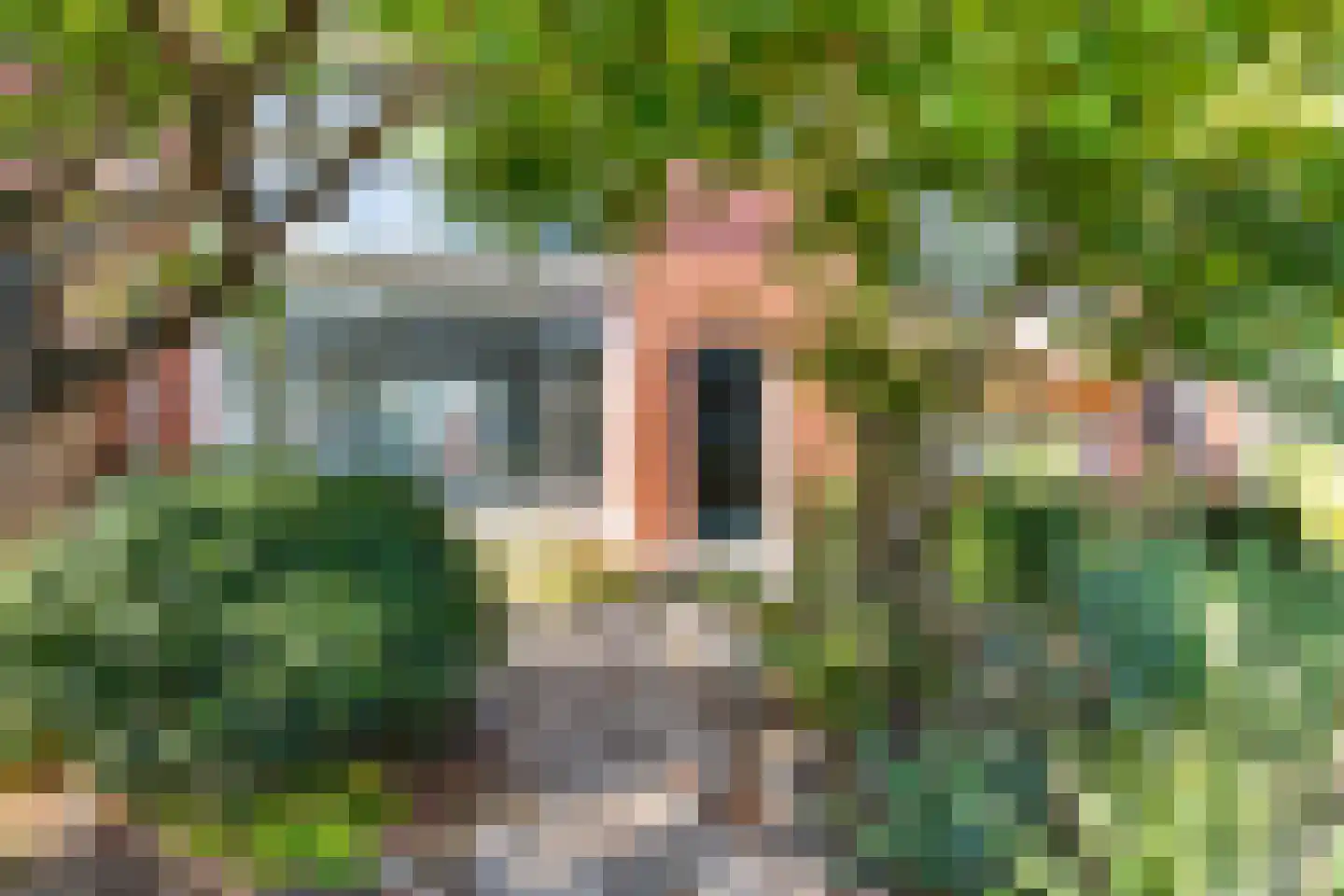 Fresiastraat 8 Naaldwijk thumbnail 39