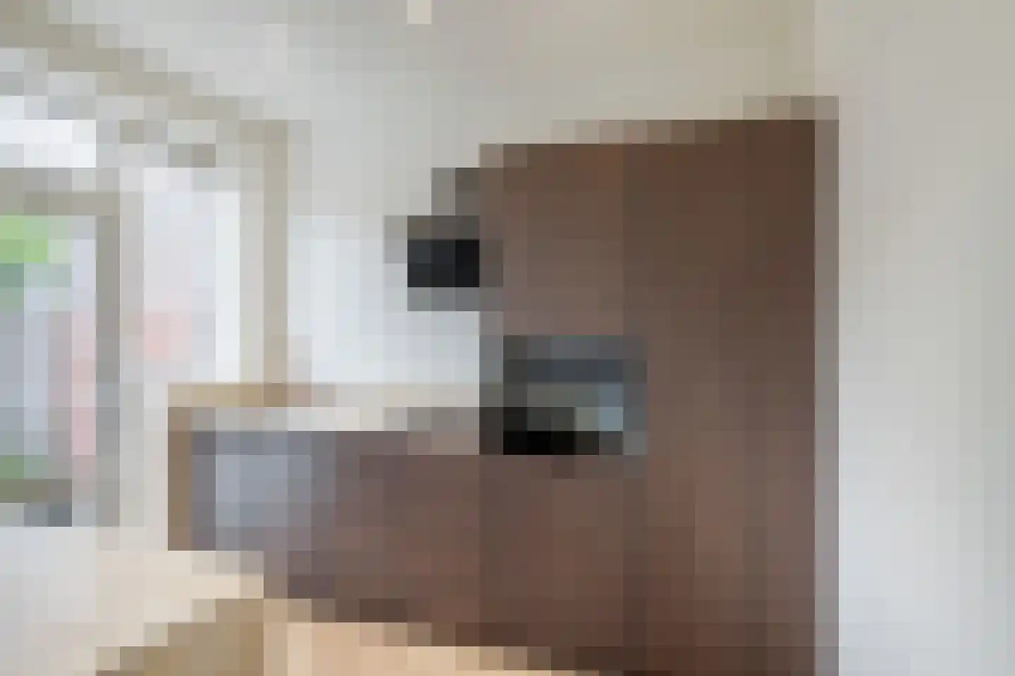 Fresiastraat 8 Naaldwijk thumbnail 4