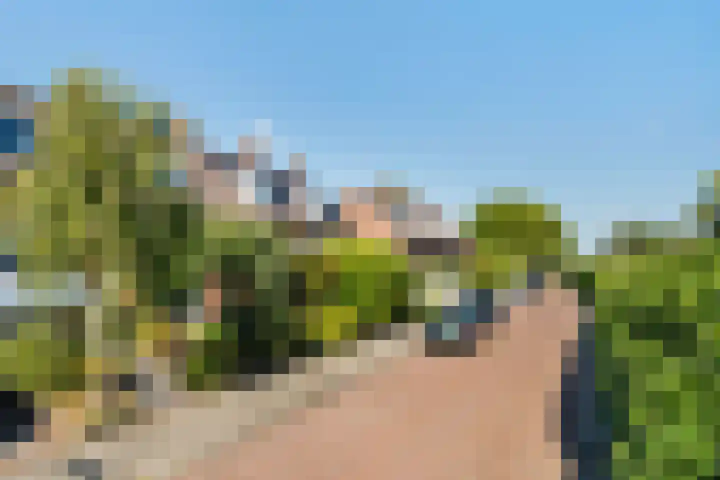 Fresiastraat 8 Naaldwijk thumbnail 40