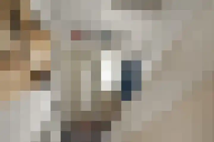 Fresiastraat 8 Wormerveer thumbnail 16