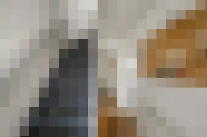 Fresiastraat 8 Wormerveer thumbnail 18