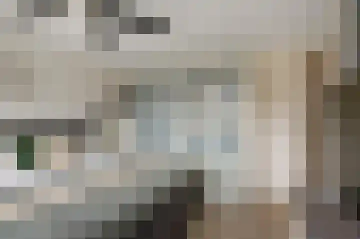 Fresiastraat 8 Wormerveer thumbnail 20