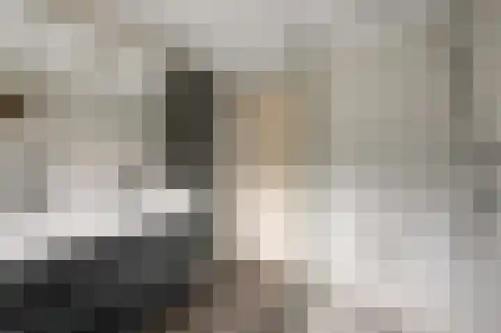 Fresiastraat 8 Wormerveer thumbnail 22