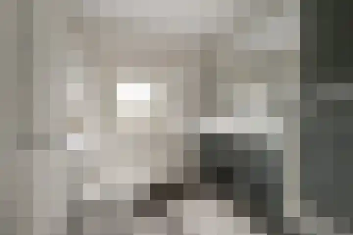 Fresiastraat 8 Wormerveer thumbnail 24