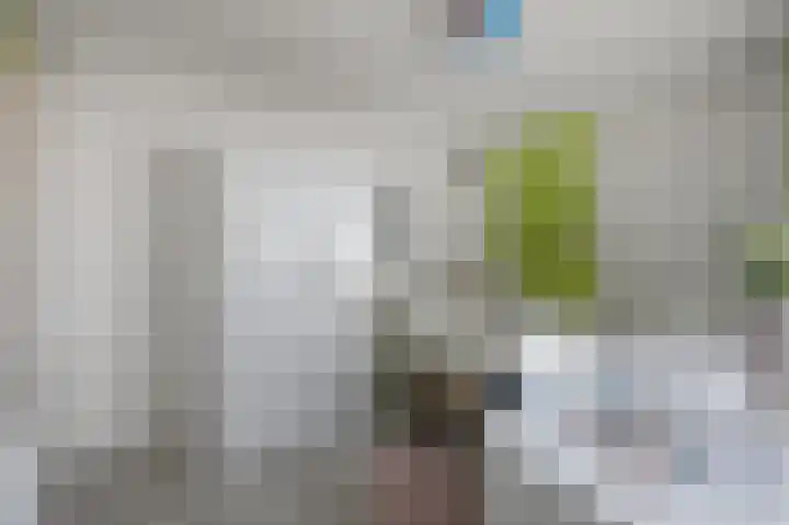 Fresiastraat 8 Wormerveer thumbnail 25