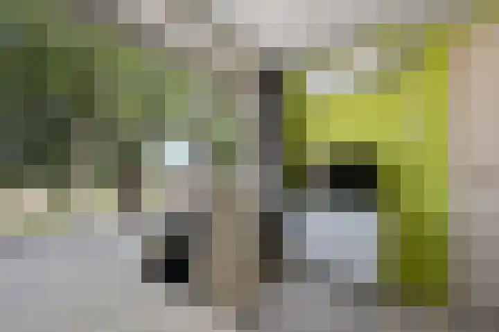 Fresiastraat 8 Wormerveer thumbnail 26