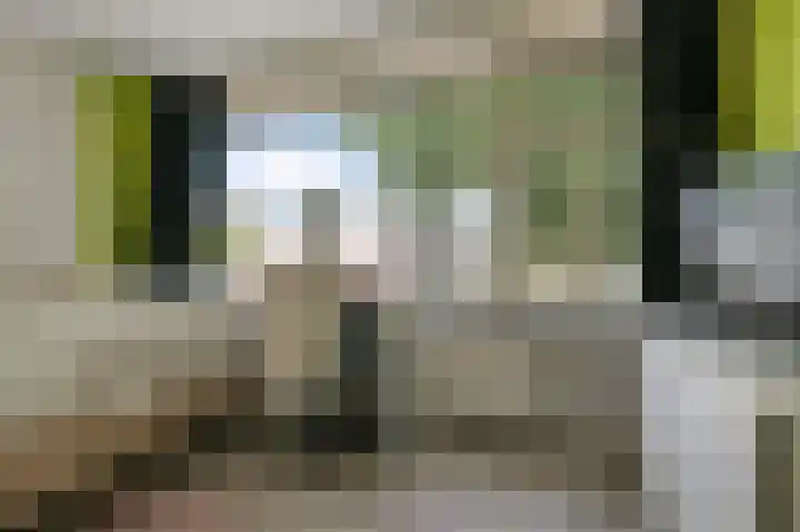 Fresiastraat 8 Wormerveer thumbnail 27