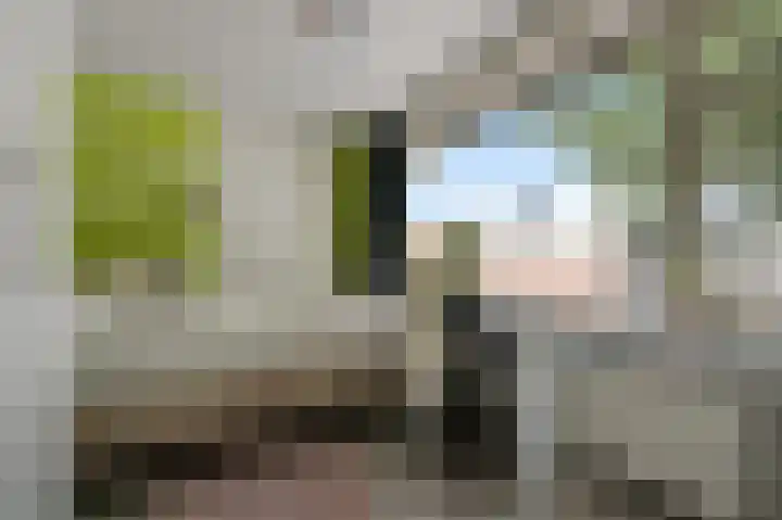 Fresiastraat 8 Wormerveer thumbnail 28