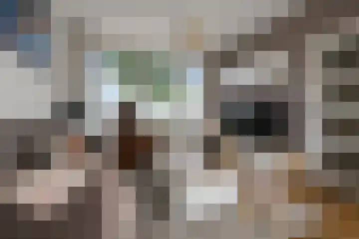 Fresiastraat 8 Wormerveer thumbnail 4