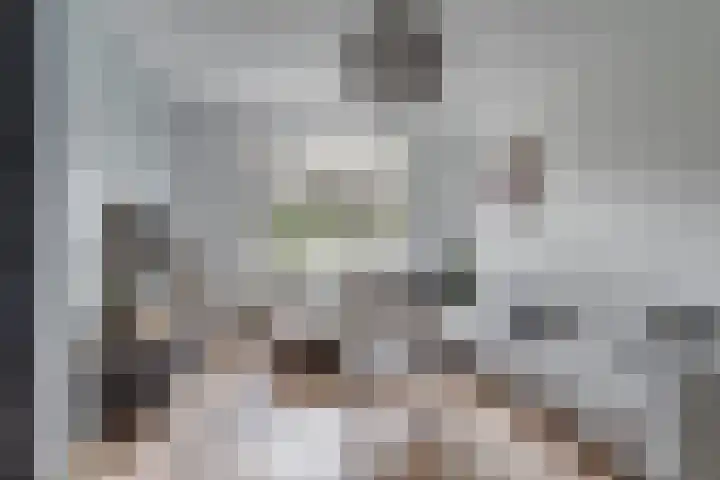 Fresiatuin 12 Houten thumbnail 11
