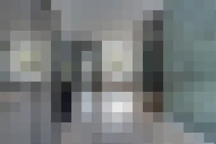 Fresiatuin 12 Houten thumbnail 12