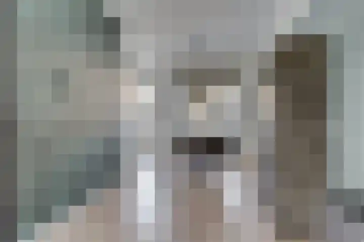Fresiatuin 12 Houten thumbnail 13