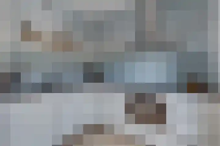 Fresiatuin 12 Houten thumbnail 17