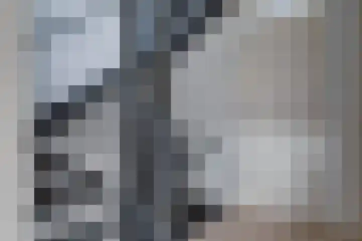Fresiatuin 12 Houten thumbnail 22
