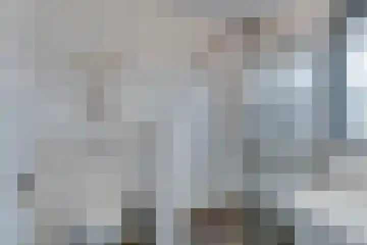 Fresiatuin 12 Houten thumbnail 32