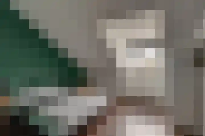 Fresiatuin 12 Houten thumbnail 38