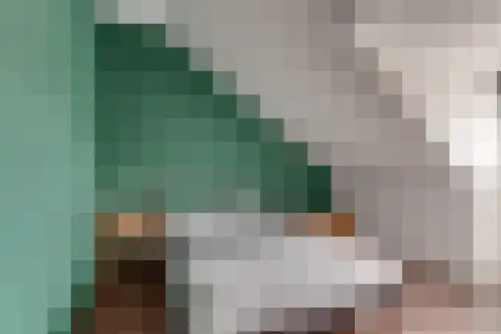 Fresiatuin 12 Houten thumbnail 39