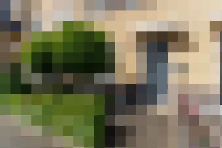 Fresiatuin 12 Houten thumbnail 4