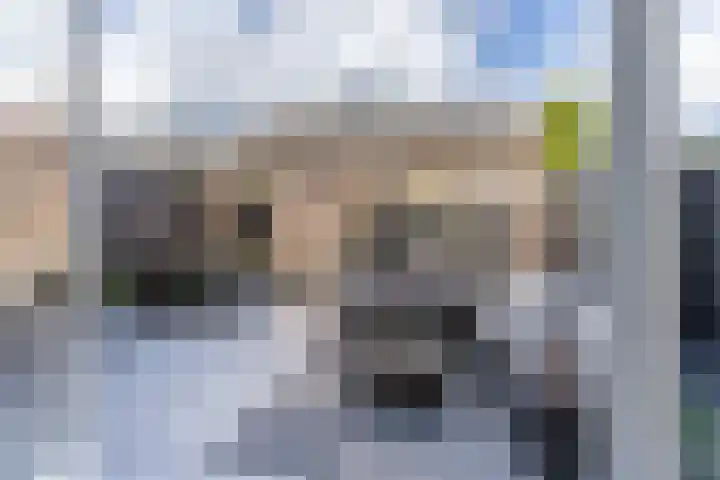 Fresiatuin 12 Houten thumbnail 42