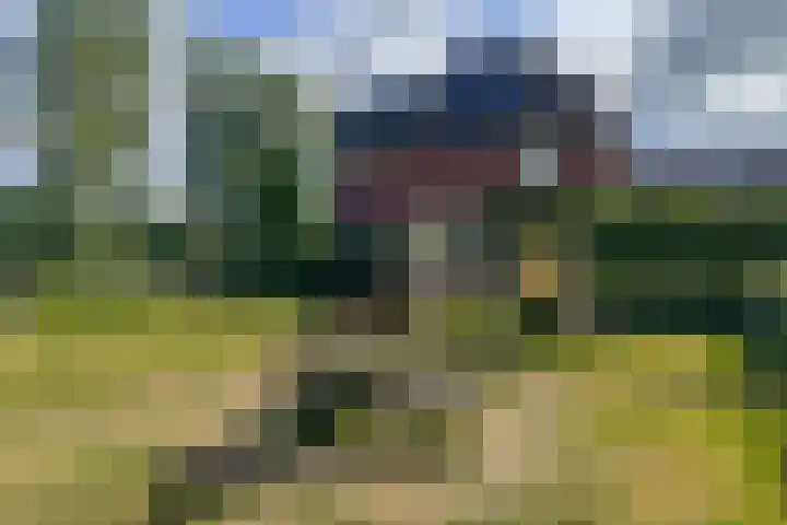 Fresiatuin 12 Houten thumbnail 46