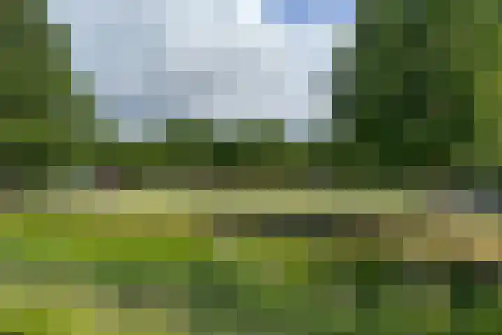Fresiatuin 12 Houten thumbnail 47