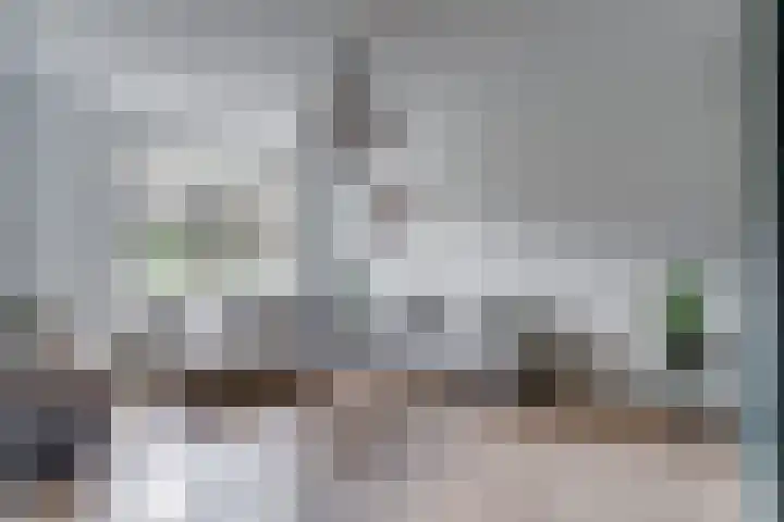 Fresiatuin 12 Houten thumbnail 8