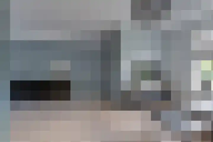 Fresiatuin 12 Houten thumbnail 9