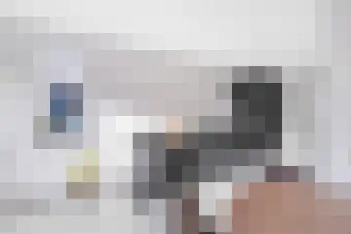 Fresiatuin 2 Pijnacker thumbnail 10